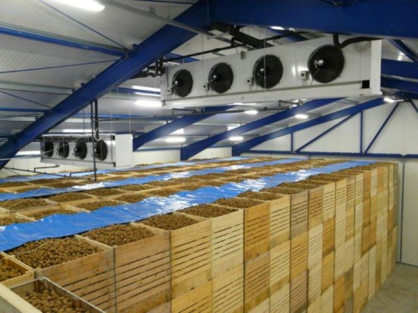 Строительство овощехранилищ в Украине 1 Строительство овощехранилищ в Украине