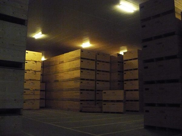 Холодильные камеры для хранения картофеля (картофелехранилища)