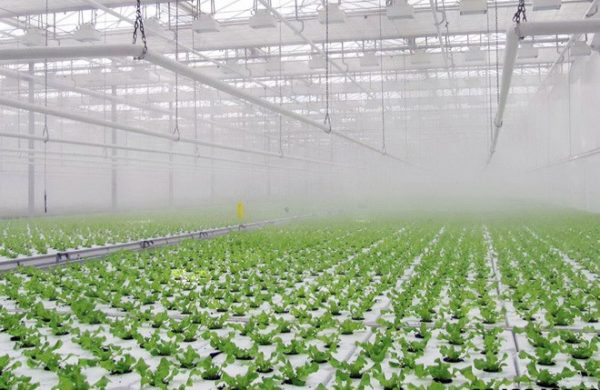 Увлажнители воздуха для теплиц (парников)